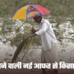 Farmer Rain: देश में आने वाली नई आफत से किसान परेशान, मौसम इन राज्यों में बरपाएगा कहर