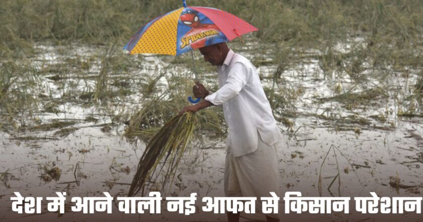 Farmer Rain: देश में आने वाली नई आफत से किसान परेशान, मौसम इन राज्यों में बरपाएगा कहर