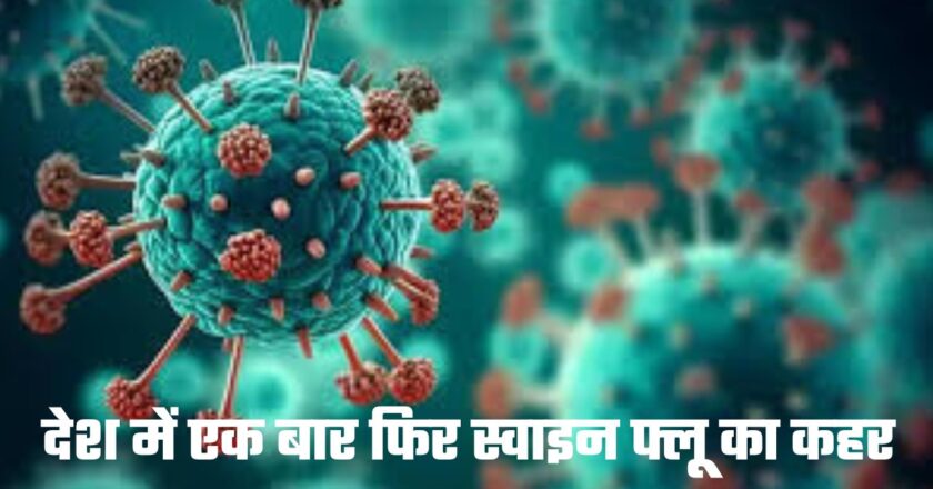 Swine Flu: देश में एक बार फिर बढ़ने लगा स्वाइन फ्लू, देश के इन 8 राज्यों में तेजी से बढ़ रहे मामले